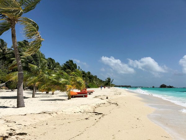Découverte des îles des caraïbes : un guide complet